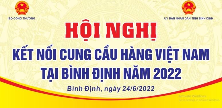 Kết nối cung cầu hàng Việt Nam cho các doanh nghiệp Bình Định và các tỉnh miền Trung